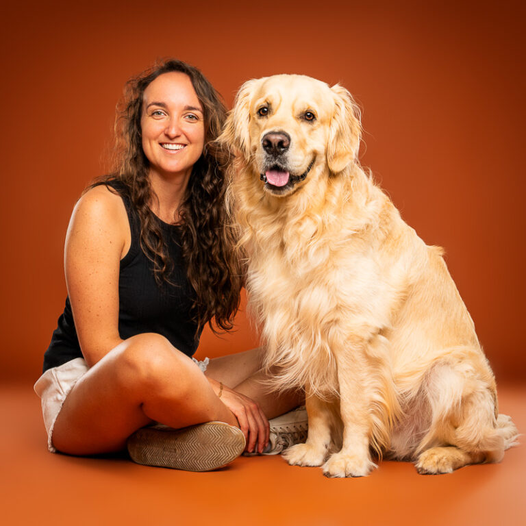 Golden Retriever - Photo Chien Studio - Photographe : Cani Studio